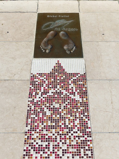 新援引领希 新援引领希